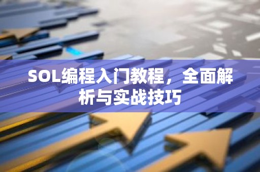 SOL编程入门教程，全面解析与实战技巧