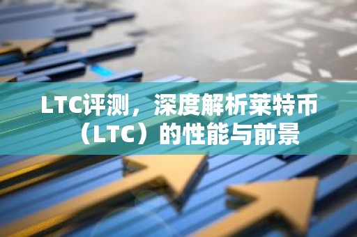LTC评测，深度解析莱特币（LTC）的性能与前景