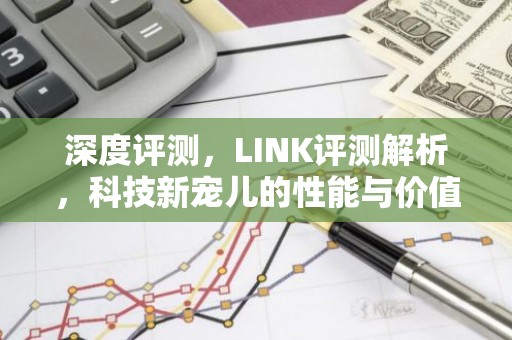 深度评测，LINK评测解析，科技新宠儿的性能与价值