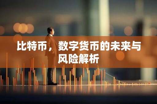 比特币，数字货币的未来与风险解析