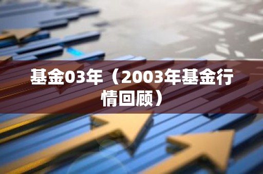 基金03年（2003年基金行情回顾）