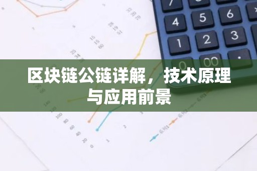 区块链公链详解，技术原理与应用前景