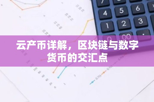 云产币详解，区块链与数字货币的交汇点