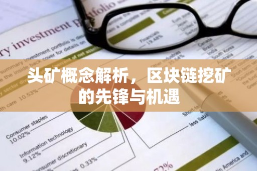 头矿概念解析，区块链挖矿的先锋与机遇
