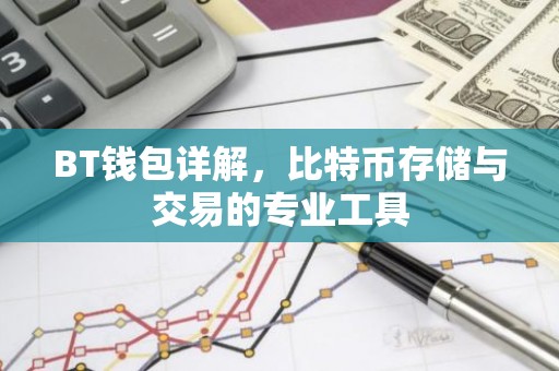 BT钱包详解，比特币存储与交易的专业工具