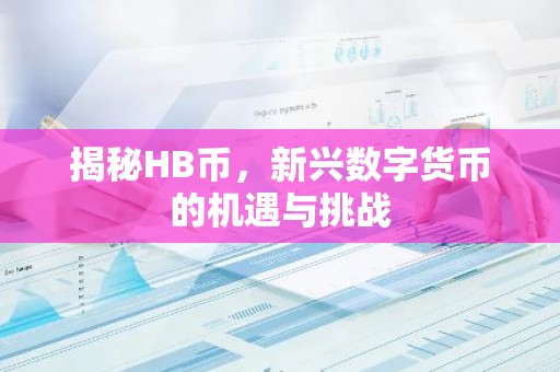揭秘HB币，新兴数字货币的机遇与挑战