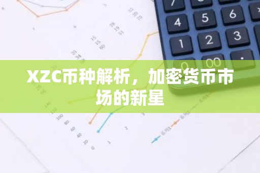 XZC币种解析，加密货币市场的新星