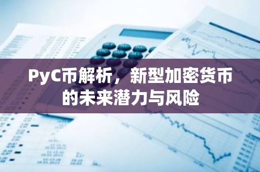 PyC币解析，新型加密货币的未来潜力与风险