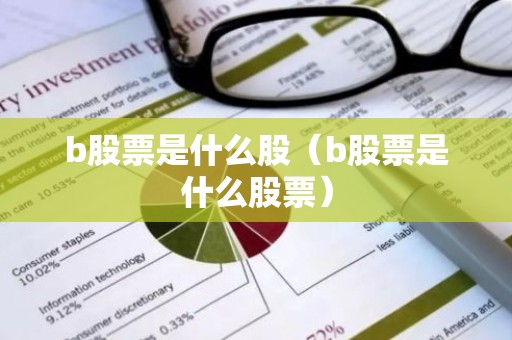 b股票是什么股（b股票是什么股票）