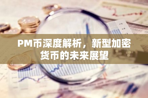 PM币深度解析，新型加密货币的未来展望