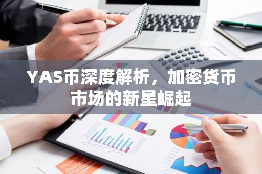 YAS币深度解析，加密货币市场的新星崛起