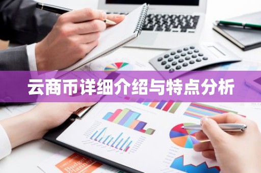 云商币详细介绍与特点分析