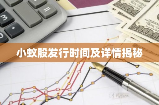 小蚁股发行时间及详情揭秘
