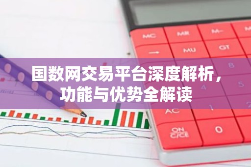 国数网交易平台深度解析，功能与优势全解读
