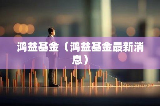 鸿益基金（鸿益基金最新消息）