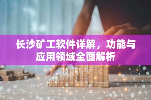 长沙矿工软件详解，功能与应用领域全面解析