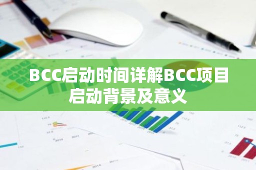 BCC启动时间详解BCC项目启动背景及意义