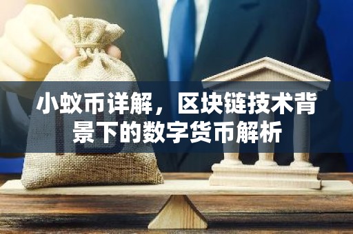 小蚁币详解，区块链技术背景下的数字货币解析