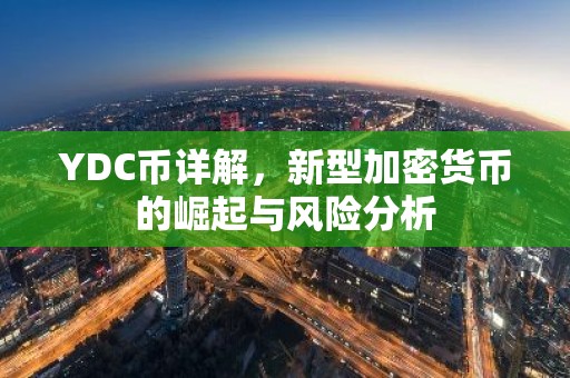 YDC币详解，新型加密货币的崛起与风险分析