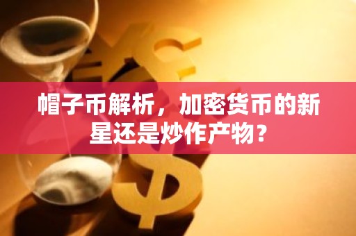 帽子币解析，加密货币的新星还是炒作产物？