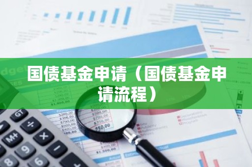 国债基金申请（国债基金申请流程）