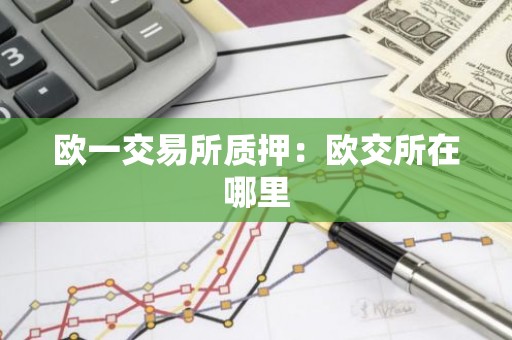 欧一交易所质押：欧交所在哪里