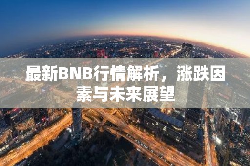 最新BNB行情解析，涨跌因素与未来展望