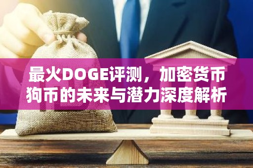 最火DOGE评测，加密货币狗币的未来与潜力深度解析