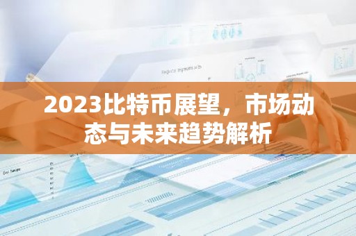 2023比特币展望，市场动态与未来趋势解析