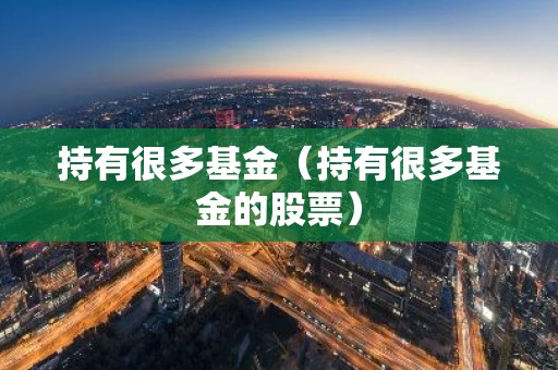 持有很多基金（持有很多基金的股票）
