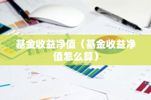 基金收益净值（基金收益净值怎么算）