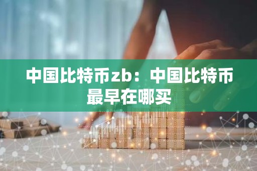 中国比特币zb：中国比特币最早在哪买