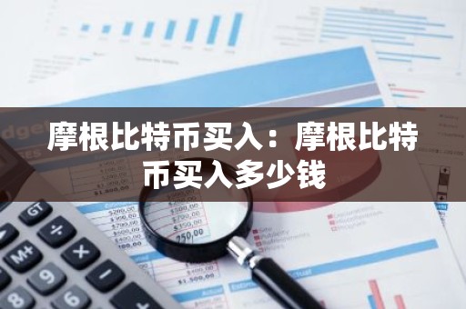 摩根比特币买入：摩根比特币买入多少钱