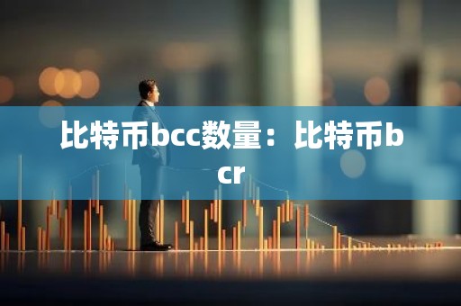 比特币bcc数量：比特币bcr