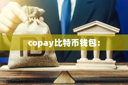 copay比特币钱包：
