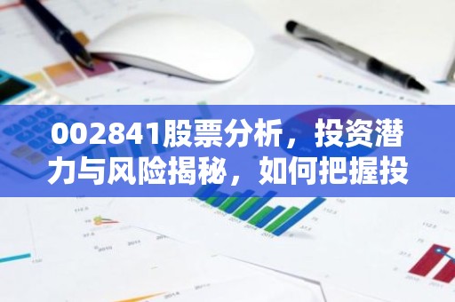 002841股票分析，投资潜力与风险揭秘，如何把握投资机会？