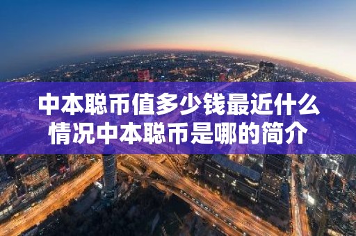 中本聪币值多少钱最近什么情况中本聪币是哪的简介