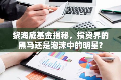 黎海威基金揭秘，投资界的黑马还是泡沫中的明星？
