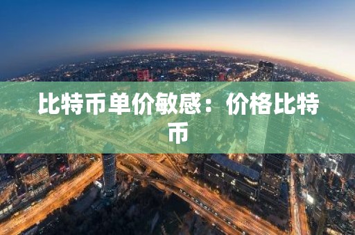 比特币单价敏感：价格比特币