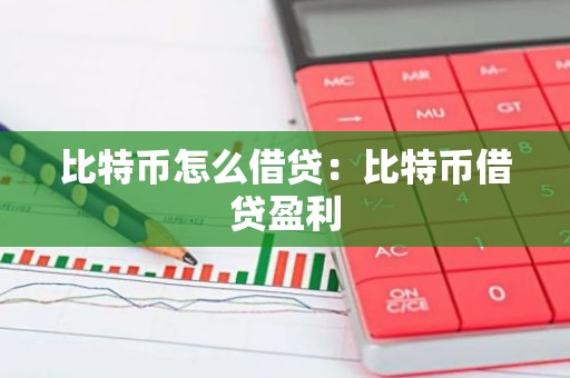 比特币怎么借贷：比特币借贷盈利