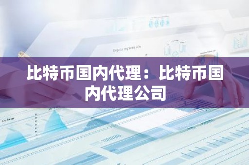 比特币国内代理：比特币国内代理公司