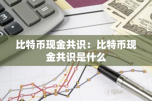 比特币现金共识：比特币现金共识是什么
