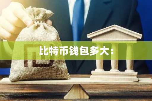 比特币钱包多大：