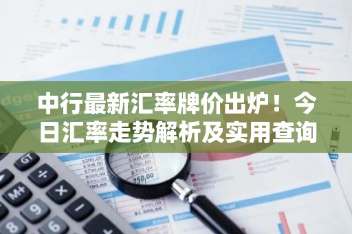 中行最新汇率牌价出炉！今日汇率走势解析及实用查询指南