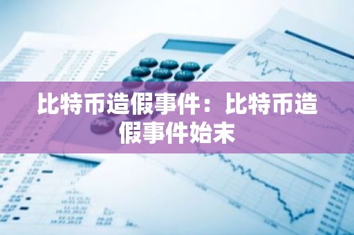 比特币造假事件：比特币造假事件始末