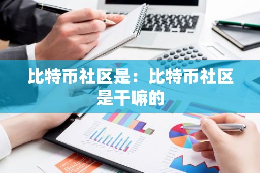 比特币社区是：比特币社区是干嘛的