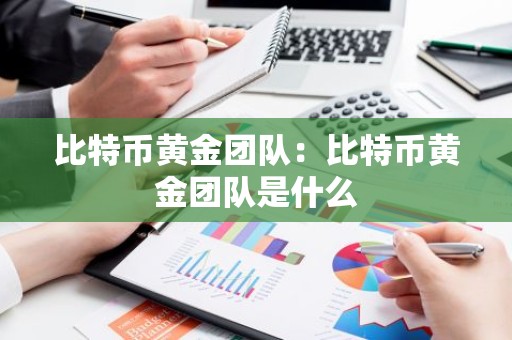 比特币黄金团队：比特币黄金团队是什么