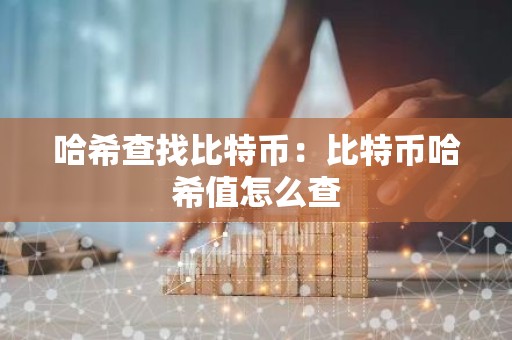哈希查找比特币：比特币哈希值怎么查