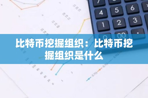 比特币挖掘组织：比特币挖掘组织是什么