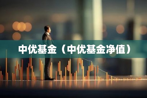 中优基金（中优基金净值）